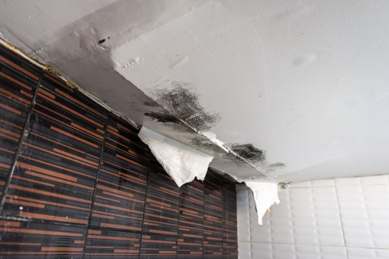 Attic Water Damage Repair in Alpharetta, GA